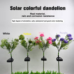 Diverse Solar Flower Light Calla Lily Rose LED Lawn Lamps Outdoor Waterproof Flash Lights Lawn Garden Decor Lawn Landscape Lamp