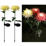 Outdoor Solar Garden Lights, 2 Pack Solar LED Lights Waterproof Simulation Flower Solar Lawn Lamp for Home Garden Decor Lights